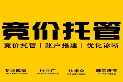 百度推广运营实战技巧：案例教学与实战演练